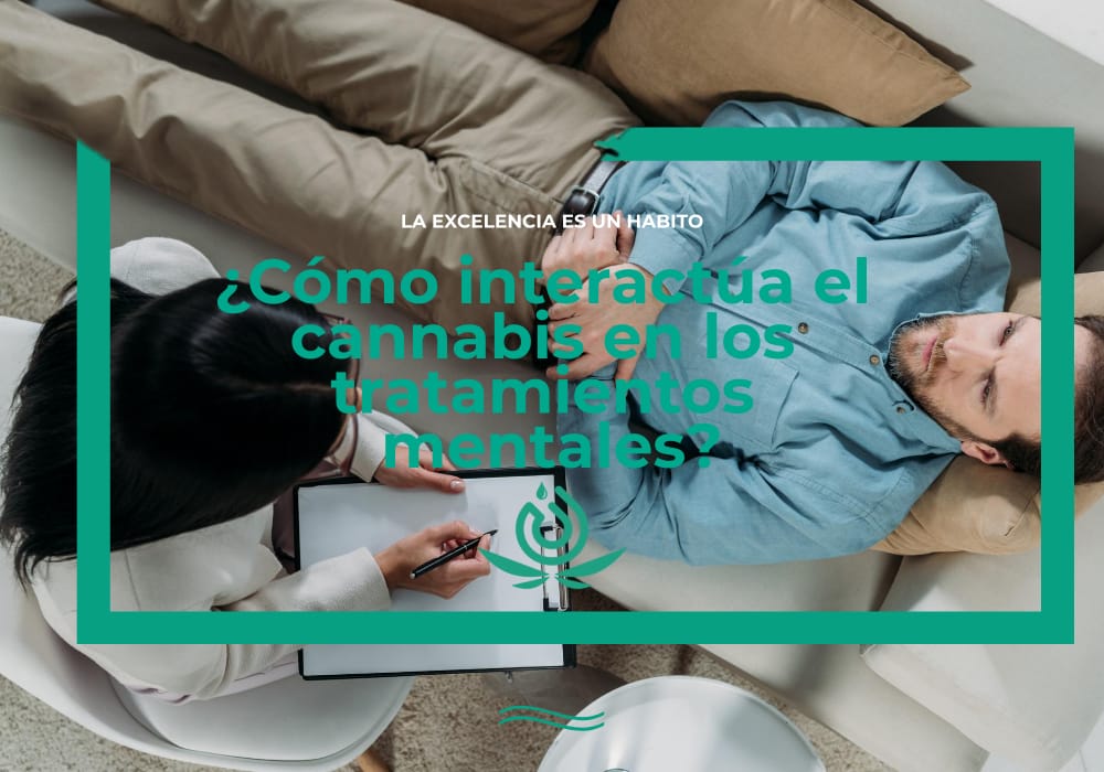 Cómo interactúa el cannabis en los tratamientos mentales Higea CBD