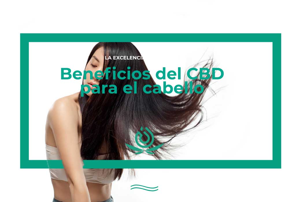 Beneficios Del CBD Para El Cabello Higea CBD