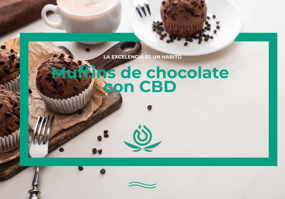 Muffins De Chocolate Con Cbd Higea Cbd