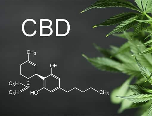 cbd oil comprar