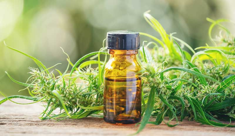which is the best cbd oil