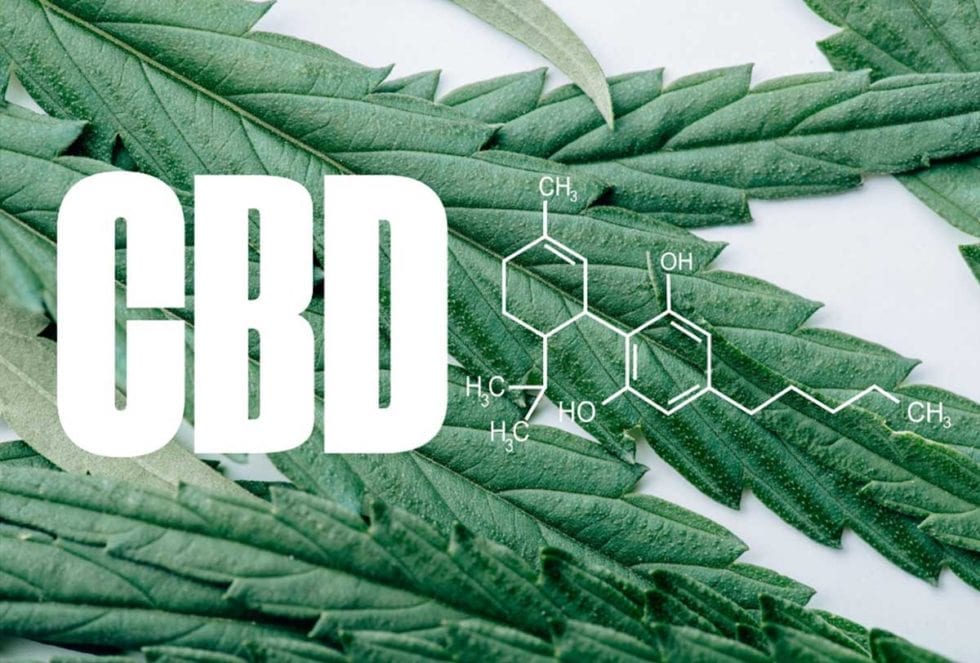 Aprende Cómo Hacer Aceite De Cbd Paso A Paso Higea Cbd 0976