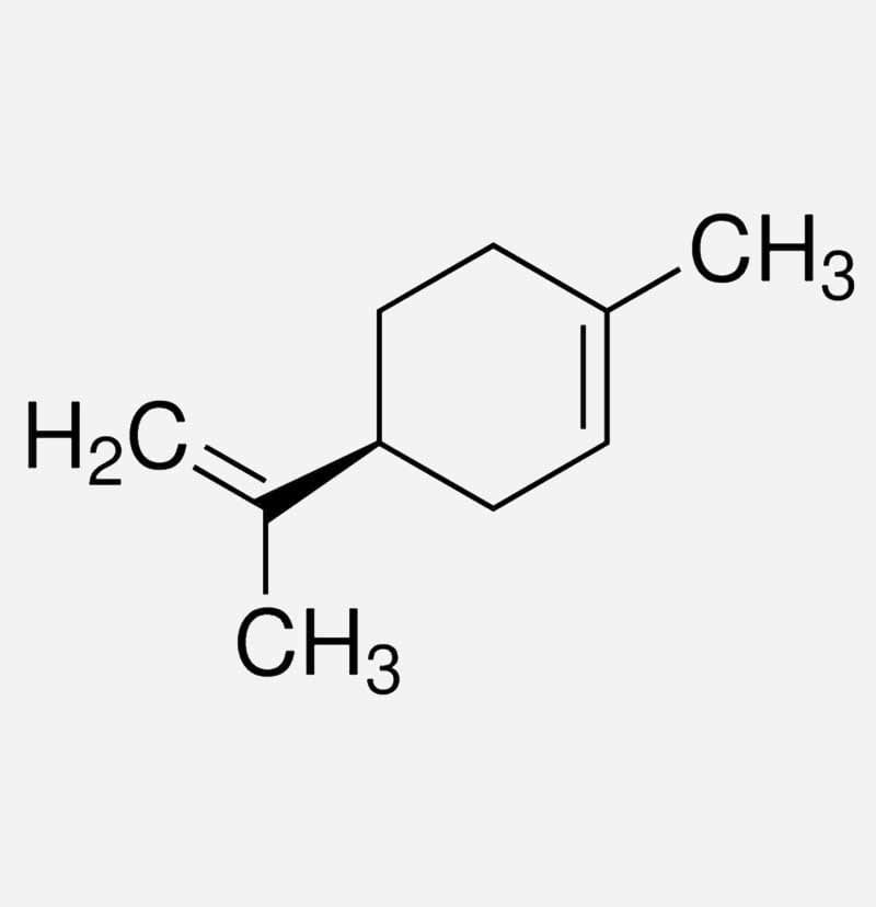 estructura de los terpenos