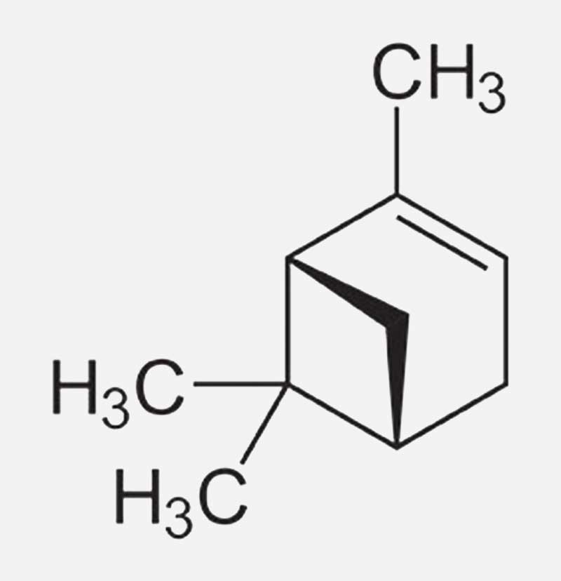 Terpene, die