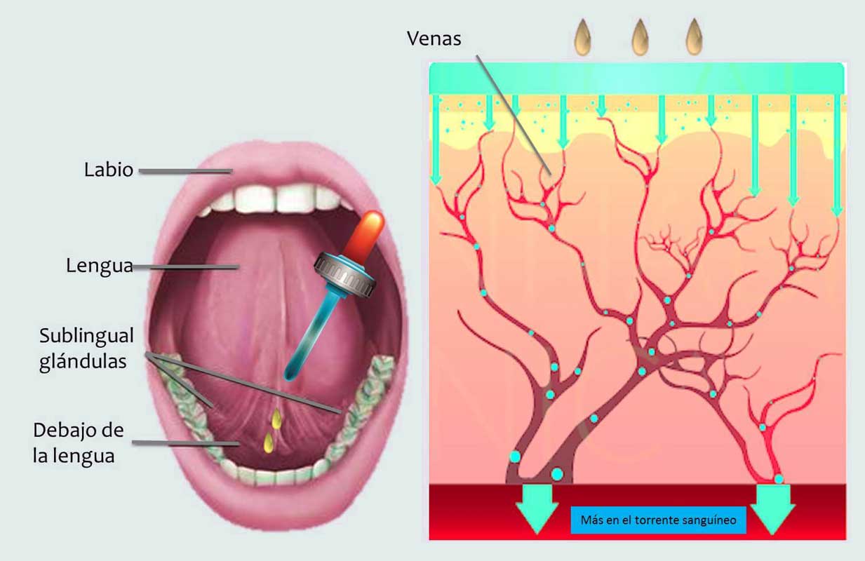 sublingual cbd