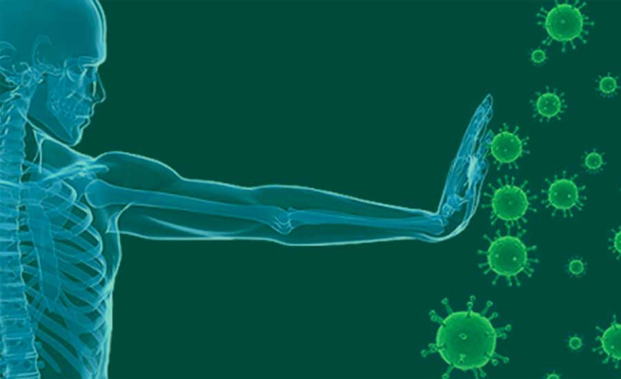 endocannabinoid system