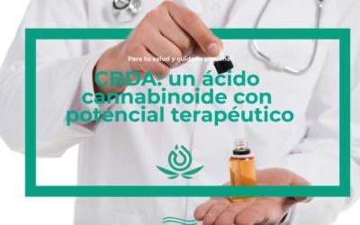 CBDA: un ácido cannabinoide con potencial terapéutico