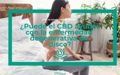 El CBD pot ajudar amb la malaltia degenerativa del disc?