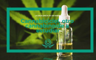 Cannabicyclol, another cannabinoid to study