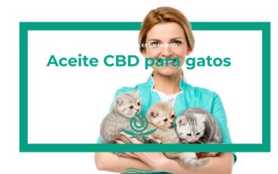 Aceite CBD para gatos