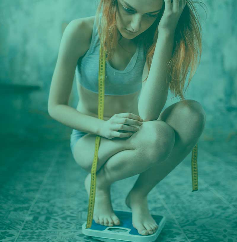 sistema endocanabinóide de anorexia