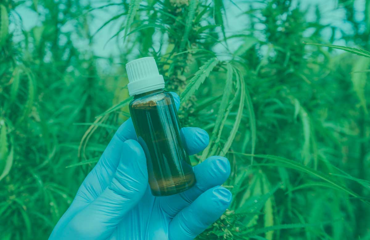 cbd wirkt der Entzündung entgegen