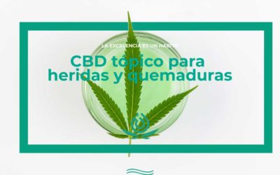 Topical CBD for wounds and burns