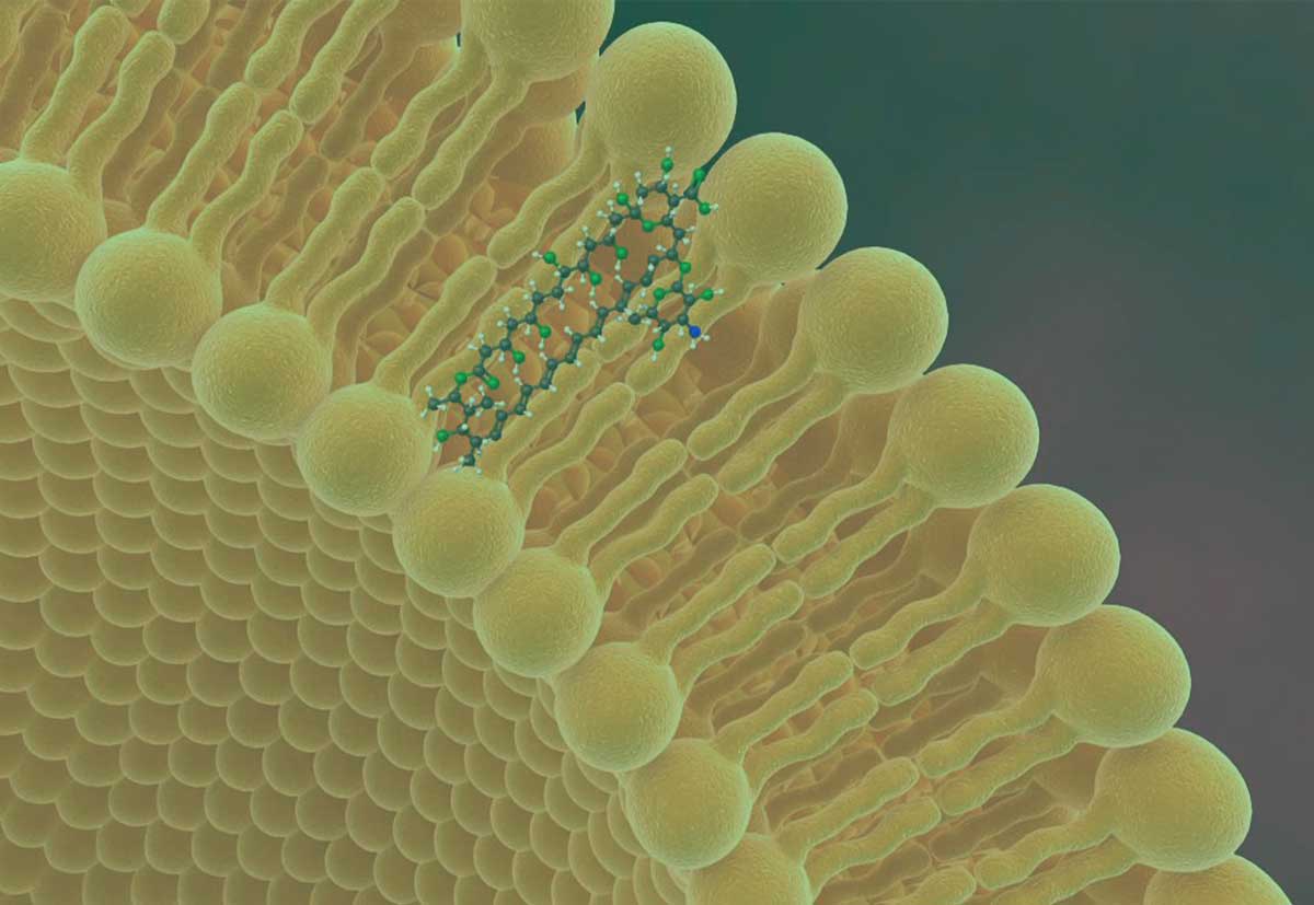 liposomes de cbd