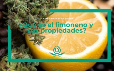 ¿Qué es el limoneno y sus propiedades?