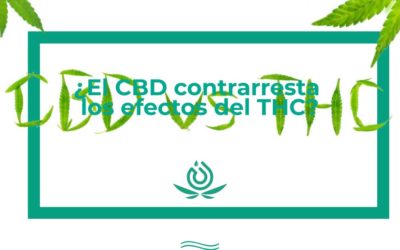 Il CBD contrasta gli effetti del THC?