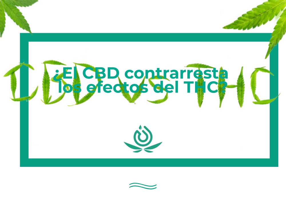 El CBD contrarresta los efectos del THC