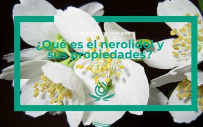 What is nerolidol and its properties?