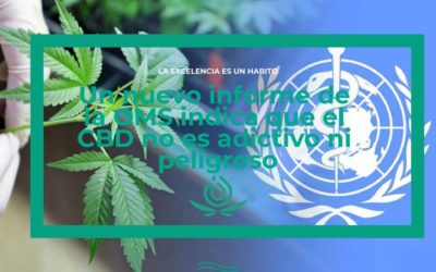 New WHO report says CBD not addictive or dangerous
