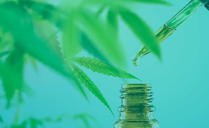 what is cannabis oil