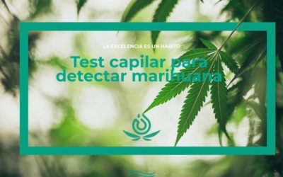 Test capilar para detectar marihuana