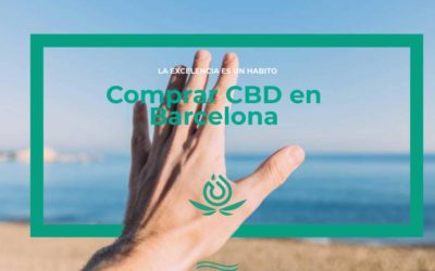 Buy CBD in Barcelona