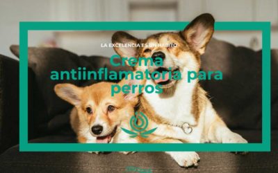 Anti-inflammatory cream for dogs