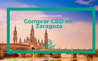 CBD in Zaragoza kaufen