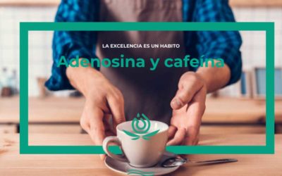 Adenosina y cafeína