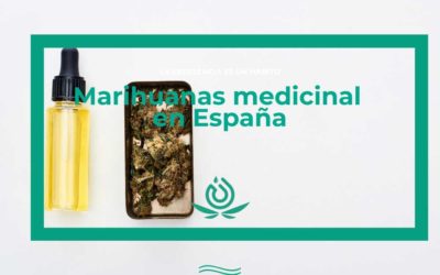 Marihuanas medicinal en España