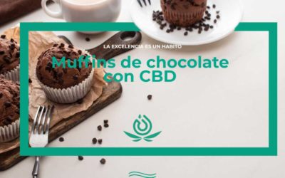 Muffins de chocolate con CBD