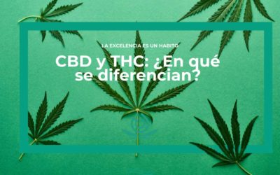 CBD y THC: ¿En qué se diferencian?