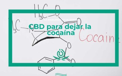 CBD para dejar la cocaína