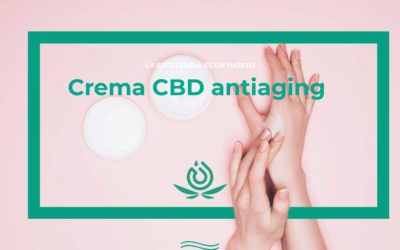 Crema CBD antiaging