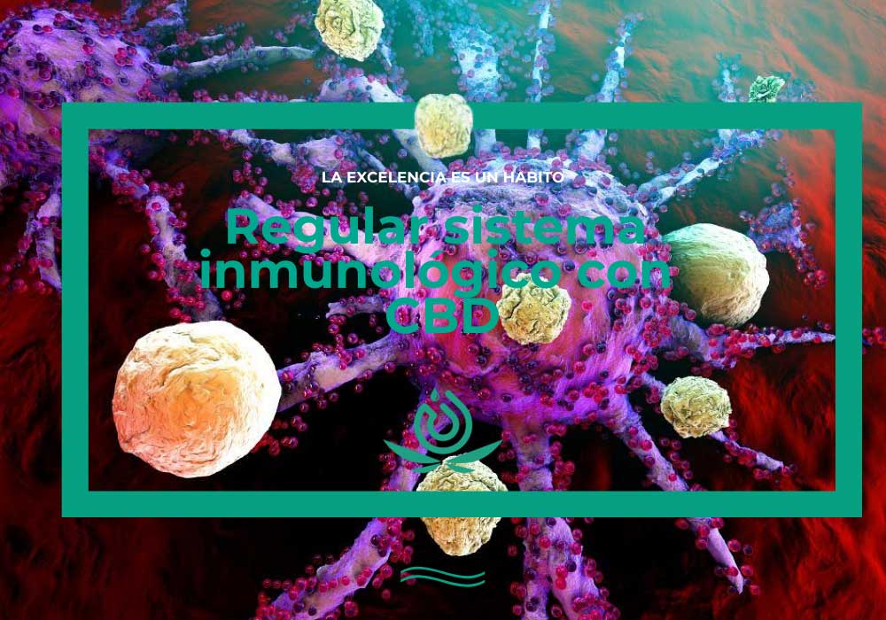 regulagem do sistema imunológico com cbd