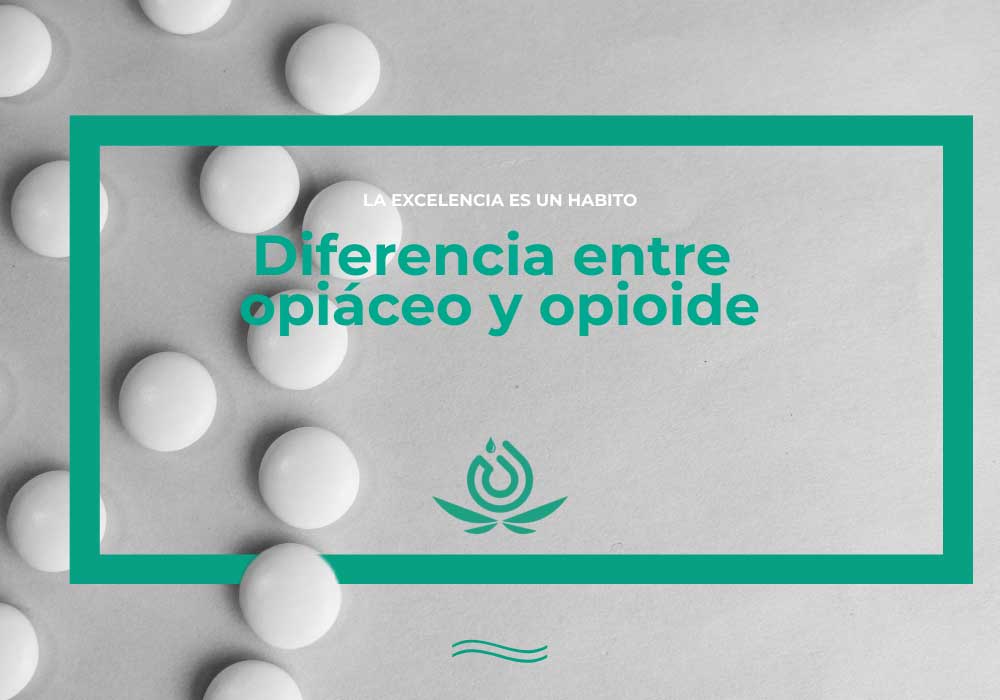 la diferencia entre el opiaceo y el opioide