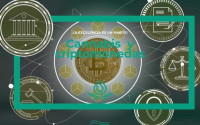 Cannabis crypto-monnaies