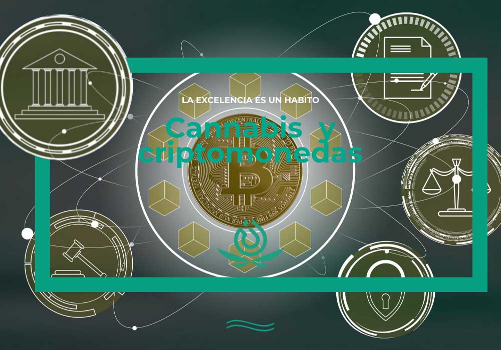 cannabis et crypto-monnaies