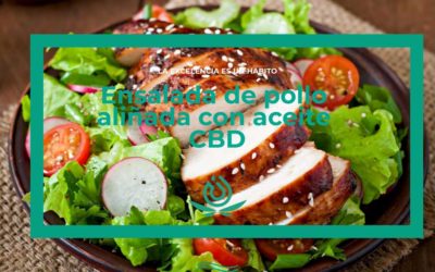 Salada de frango com tempero de óleo de CBD