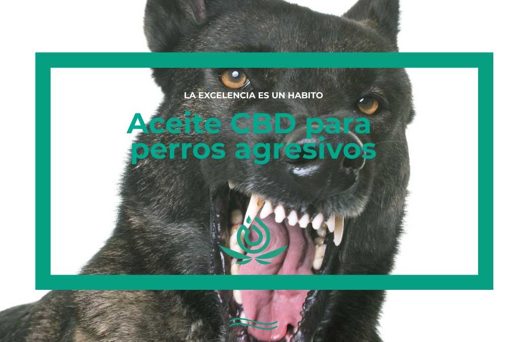 Óleo de CDB para cães agressivos
