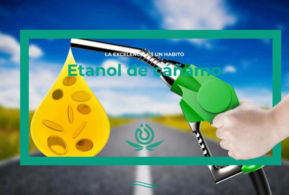 Ethanol aus Hanf