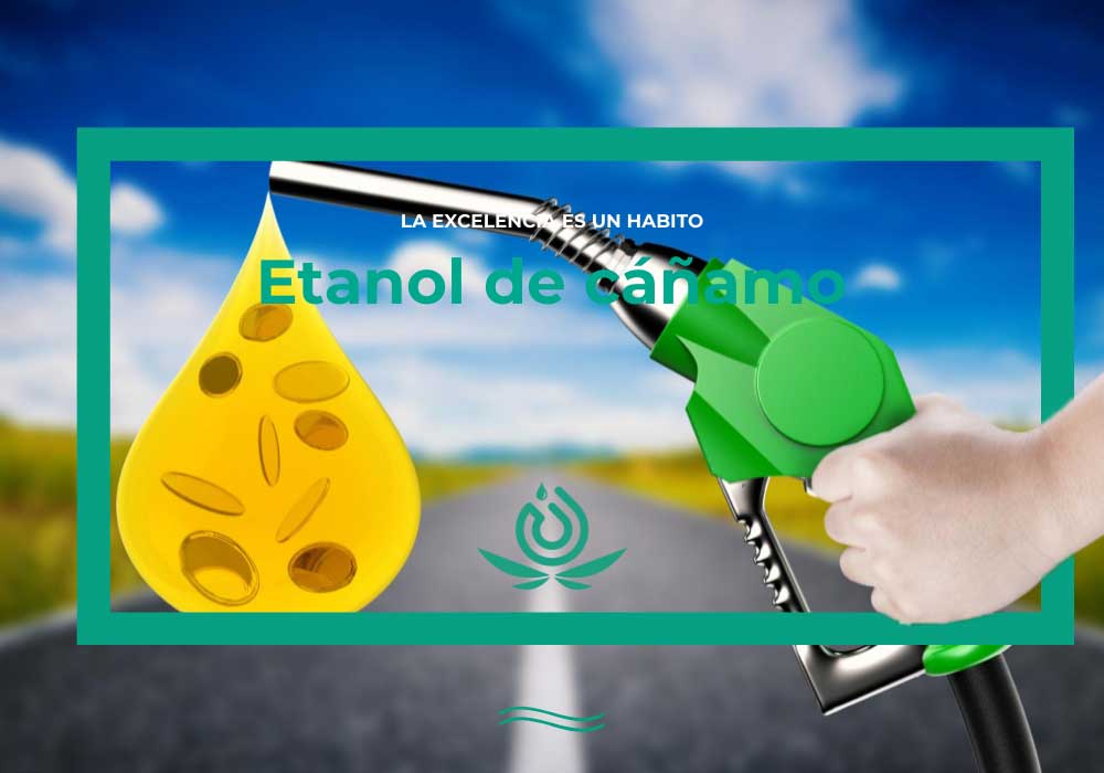 Hanf-Ethanol