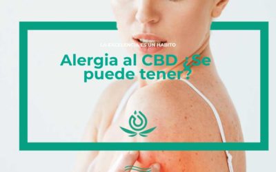 Allergy to CBD Can you have it?