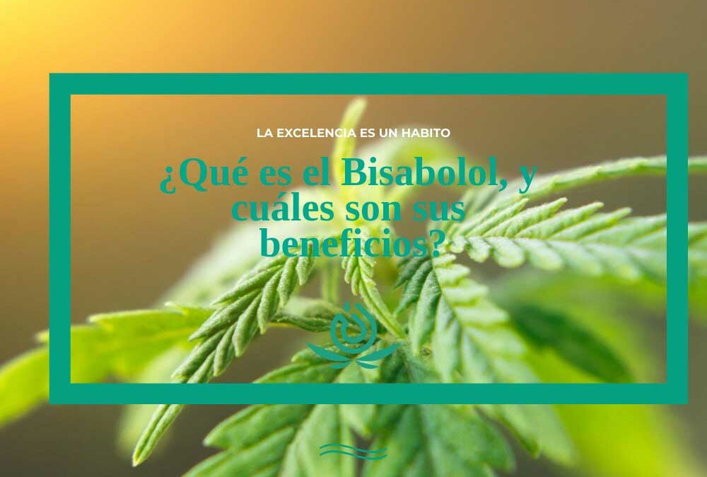 O que é Bisabolol, e quais são os seus benefícios?