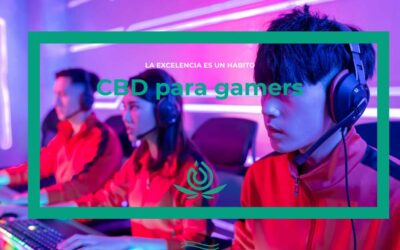 CBD para gamers