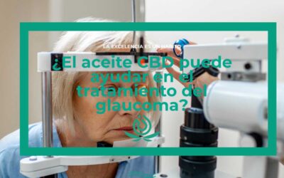 ¿El aceite CBD puede ayudar en el tratamiento del glaucoma?