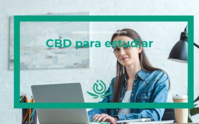 CBD pour l’étude